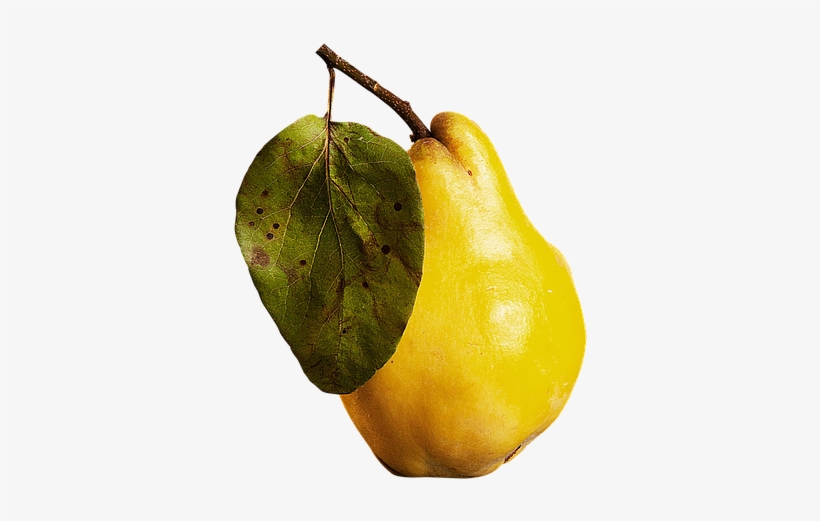 Isolated, Isolated Fruit, Fruit, Guava - Quince Transparent Png, transparent png download