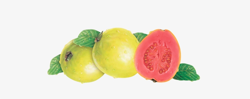 Pink Guava - Strawberry Guava, transparent png download