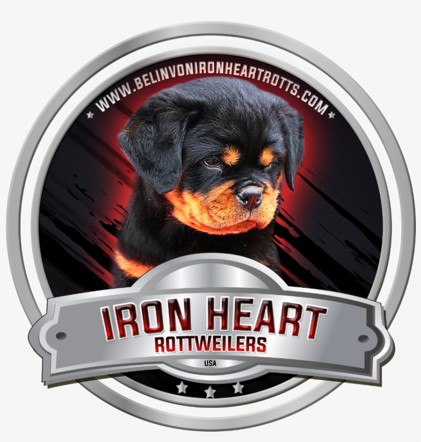 Rottweiler, transparent png download