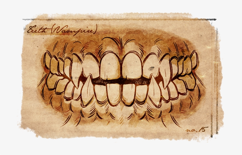 Vampire Teeth - Wood, transparent png download