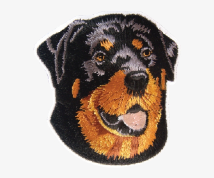 Coin Purse, transparent png download