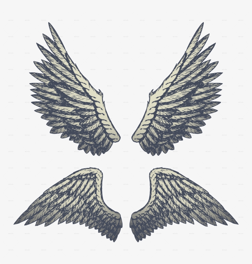 Wings Vector Cartooning, transparent png download