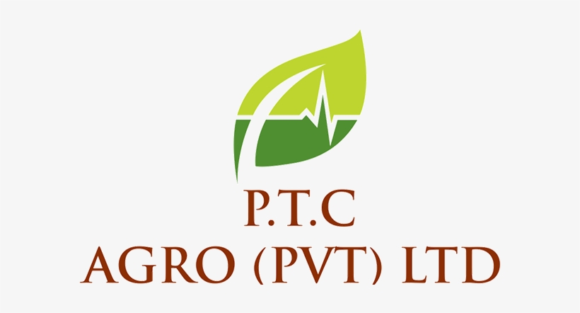 Hamister Group, transparent png download