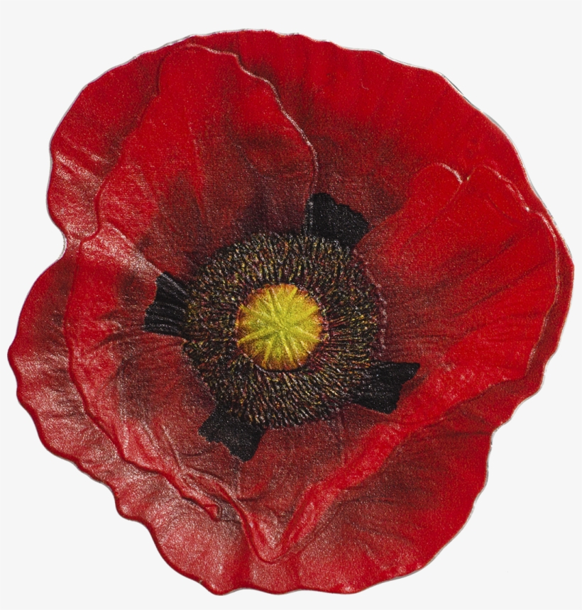 2017 Remembrance Poppy Colour 1oz Silver Proof-like, transparent png download