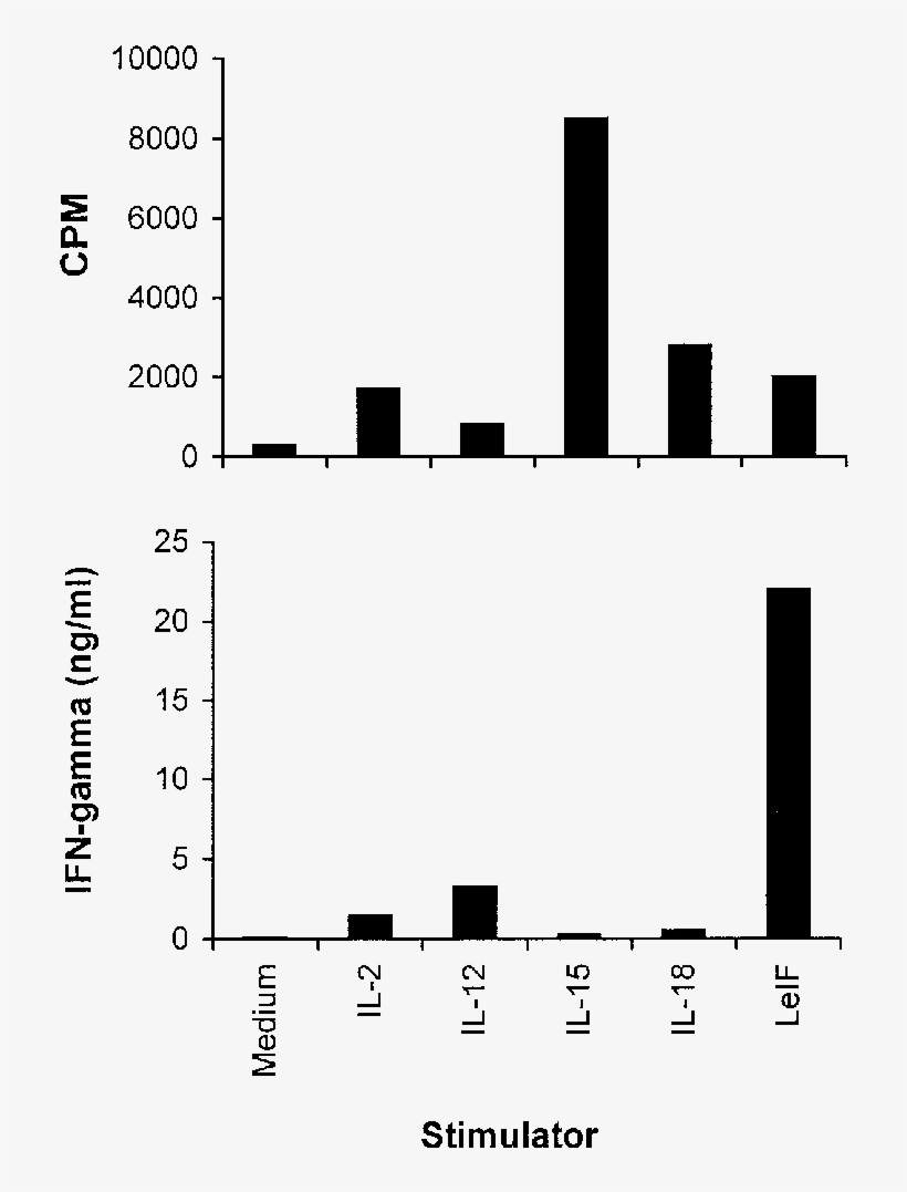 Ifn-production By Spleen Cells Of Scid C3h/hej Mice - Cell, transparent png download