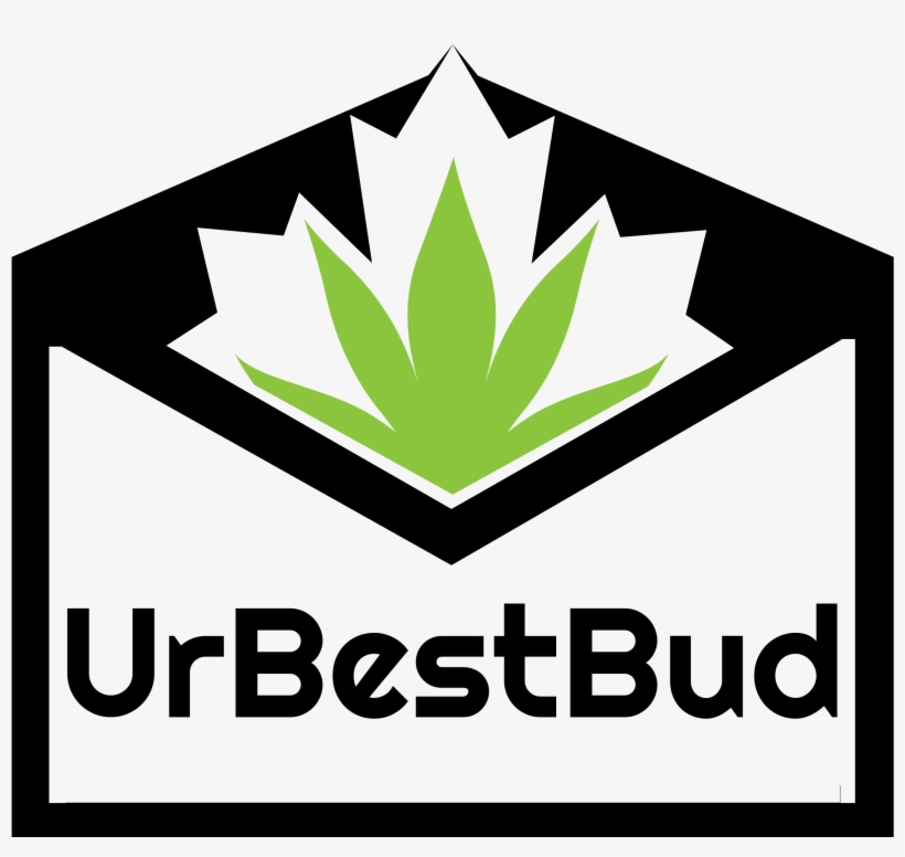 Ur Best Bud - Vector Graphics, transparent png download