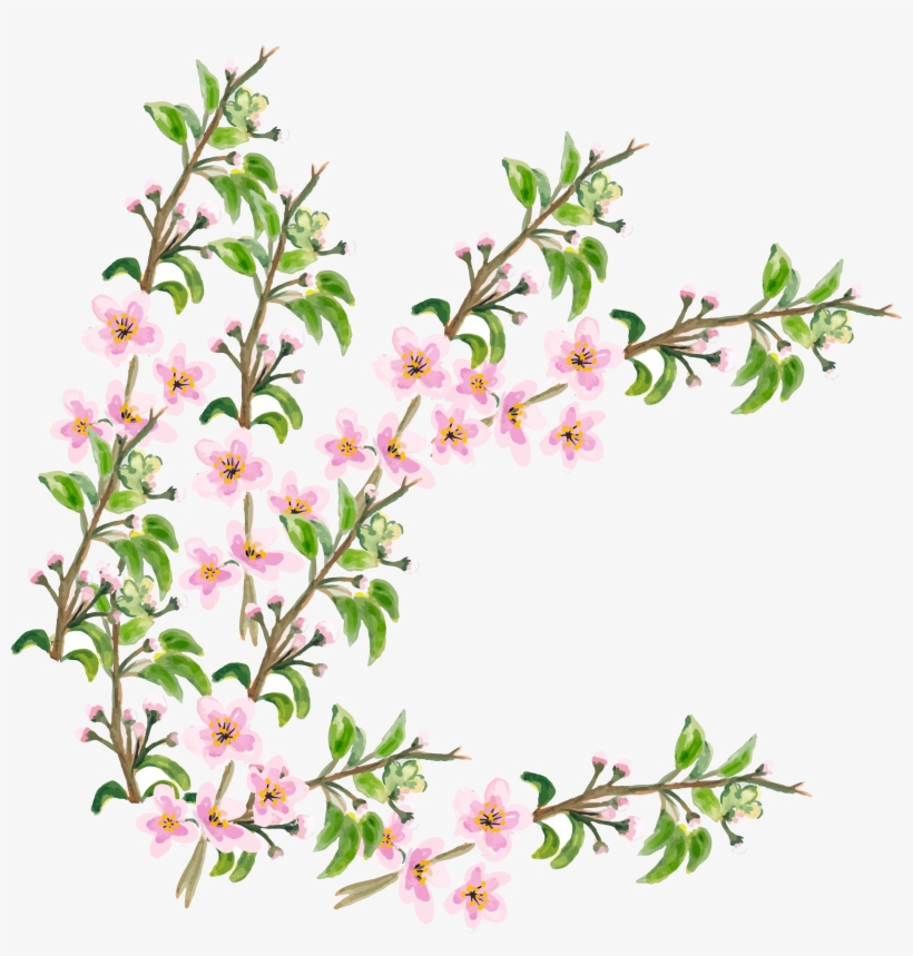 Flower Cherry Blossom - Cherry Blossom, transparent png download
