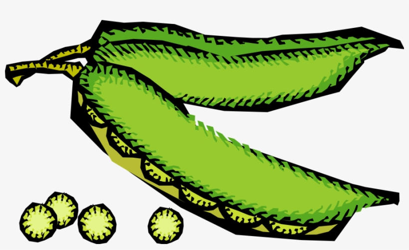 How To Set Use Vegetables 48 Icon Png, transparent png download