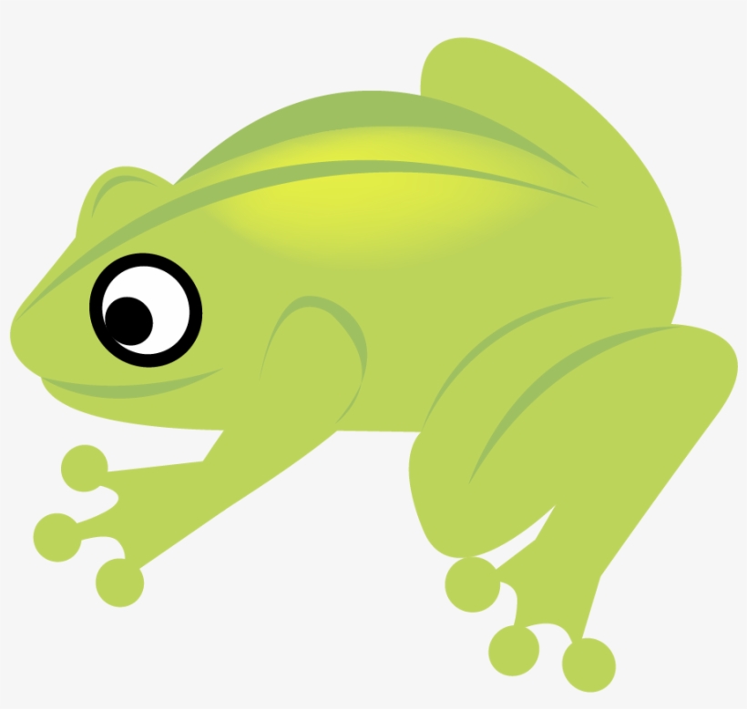 Frog, transparent png download