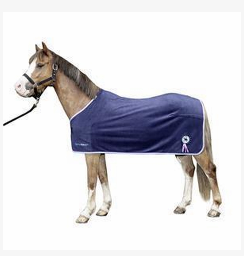 Horse Blanket, transparent png download