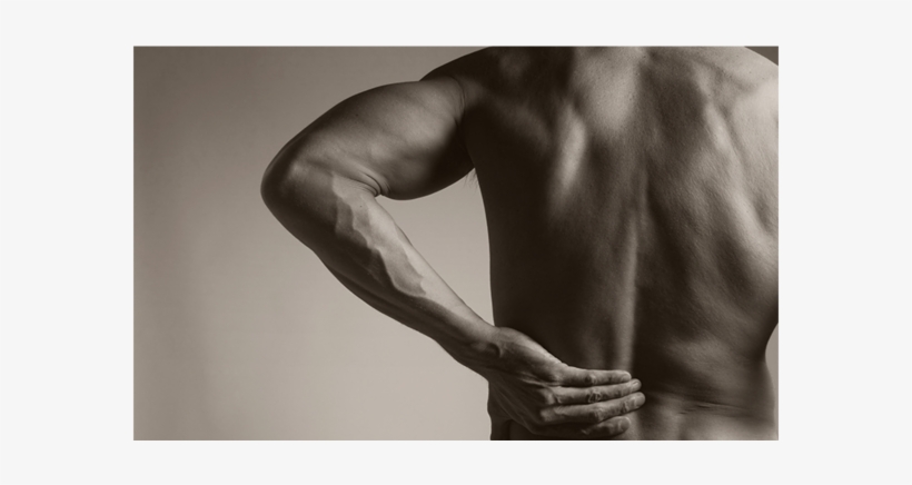 Knock Out Low Back Pain, transparent png download