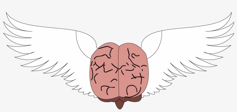 Brain With Wings / Cerebro Alado Your Brain, Finding - Freedom Of Thought, transparent png download