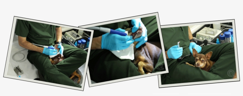 Hygeinist 3 Pack Horizontal - Flat Panel Display, transparent png download