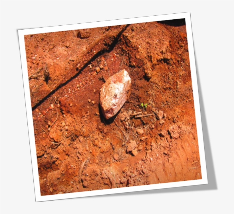 500 Million Year Old Cambrian Soil - Soil, transparent png download