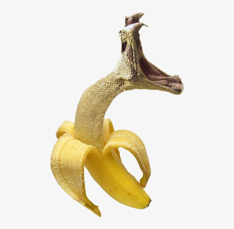 Cool Photos To Photoshop, transparent png download