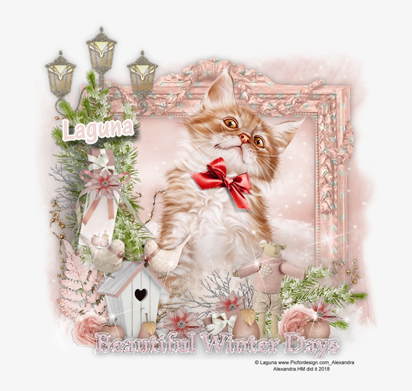 [๏̯͡๏]۶ ** ღ ❥ ⊱✿ ✿⊰ ღ ❥ ** [๏̯͡๏]۶ - Kitten, transparent png download