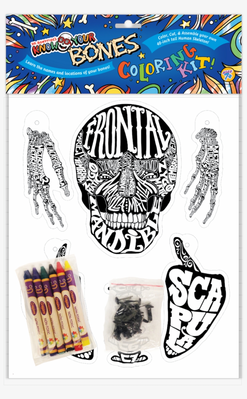 Bonyfide's Know Your Bones - Skull Yoga Mats By Know Yourself - Skull Typography, transparent png download