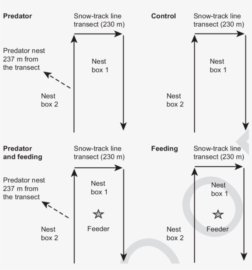 Experimental Set-up Used In The Study, transparent png download