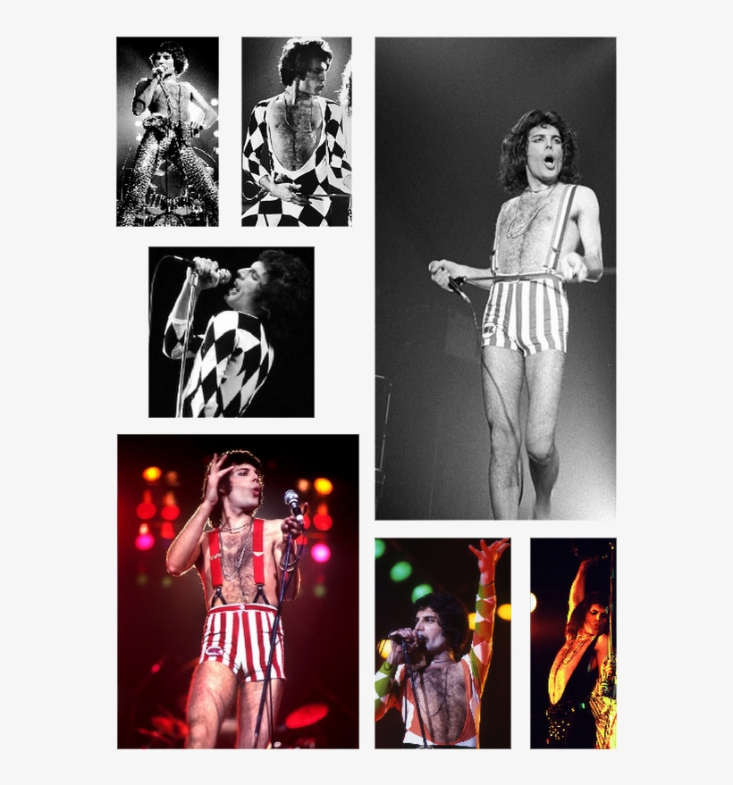 Rogerina Taylor - Queen Freddie Mercury Harlequin Outfit 36x24 Music, transparent png download