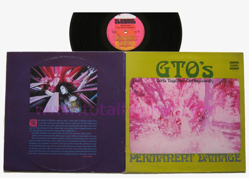 In The Album's Liner Notes, Mr - Permanent Damage, transparent png download