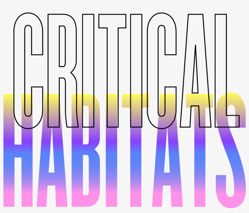 Instagram - Graphic Design, transparent png download