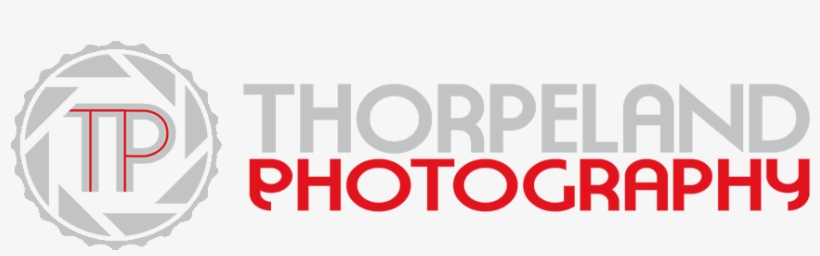 Graphic Design, transparent png download