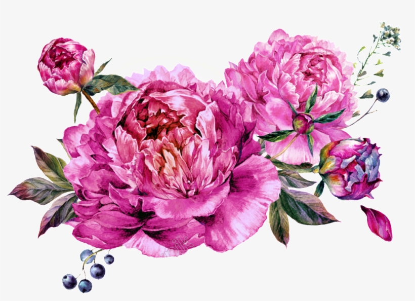 Vector Bouquet Peony Image Download - Invasions Of The Heart [book], transparent png download