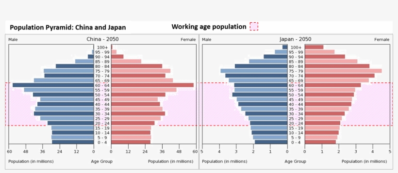 Japan Will Have Very Large Cohorts In The Over 65 Category - China Female And Male Population, transparent png download