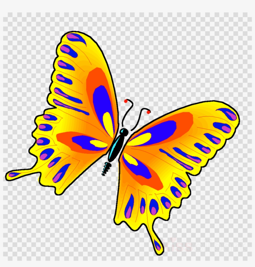 Jewish Butterfly Clipart Butterfly Borboleta Insect - Butterfly, transparent png download