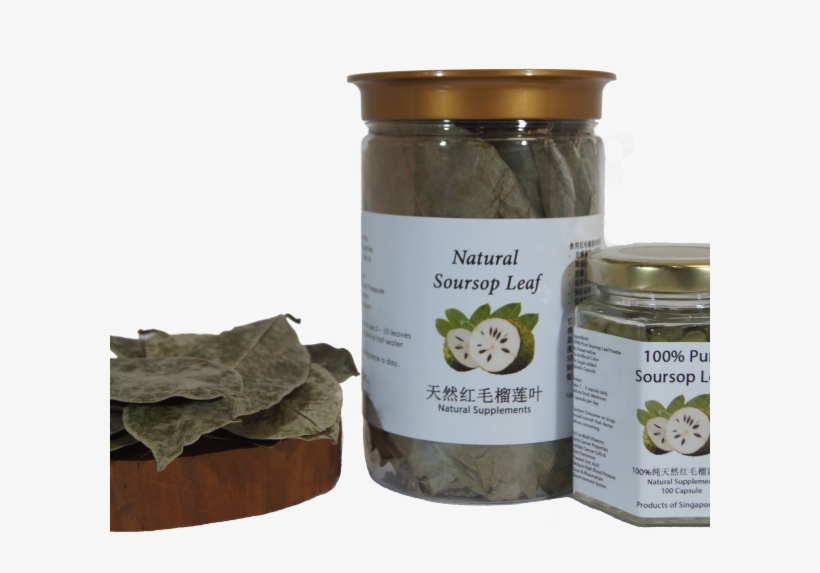 Soursop Leaf - Leaf, transparent png download