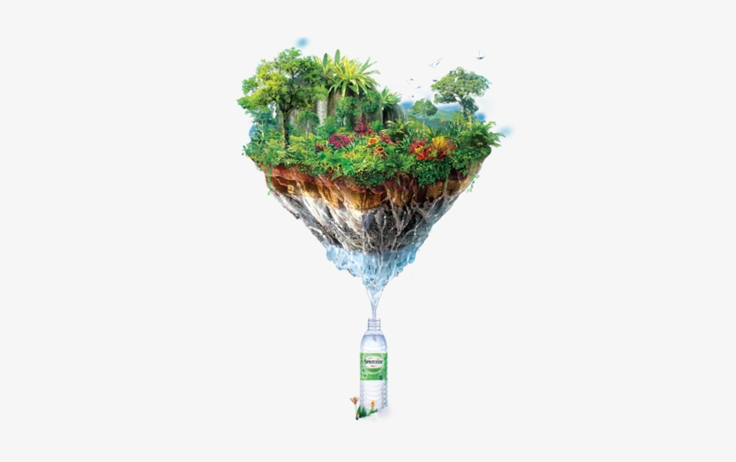 Nb041 - Palm Tree, transparent png download