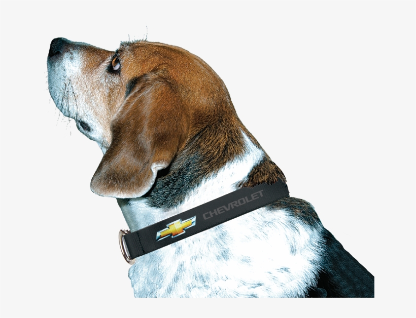 Chevy Bowtie Dog Collar - Chevy Dog, transparent png download