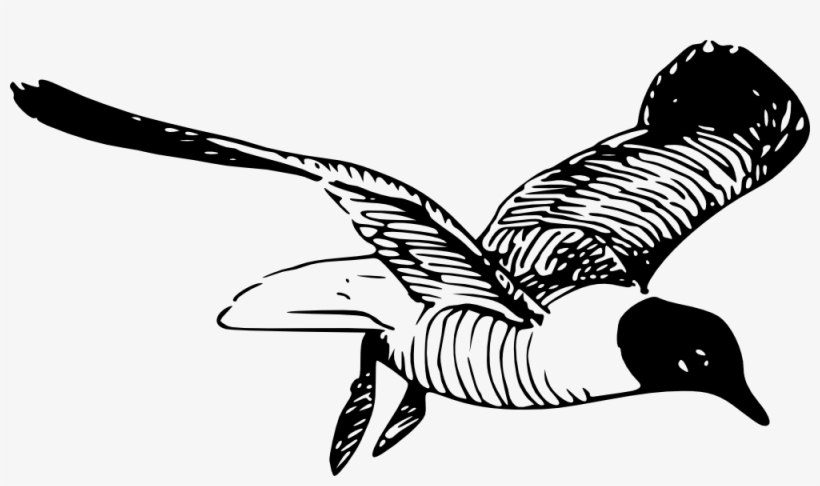 The Laughing Gull - Laughing Gull Tattoo, transparent png download