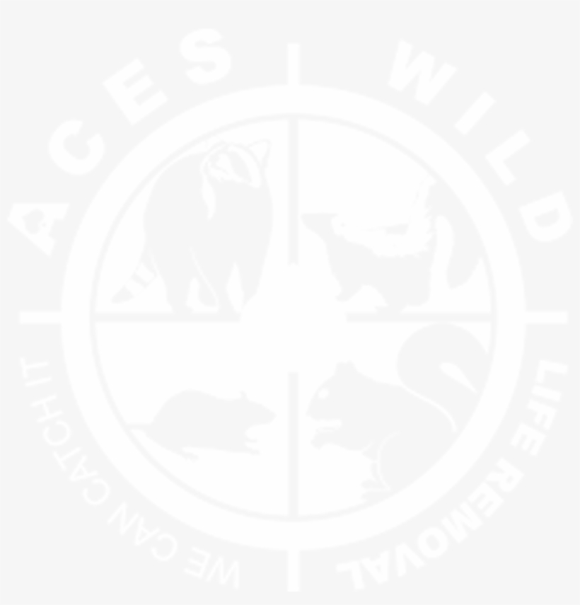 Wildlife Command Center - Illustration, transparent png download