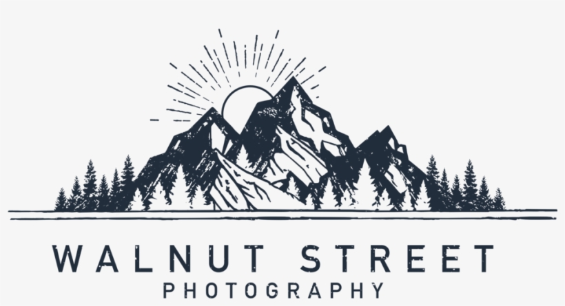 Photographer Silhouette Png, transparent png download