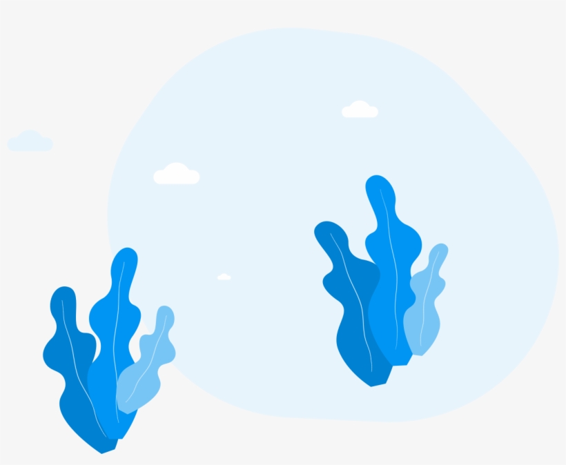 Through Tutelio Photo You Can Protect Your Photography - Illustration, transparent png download