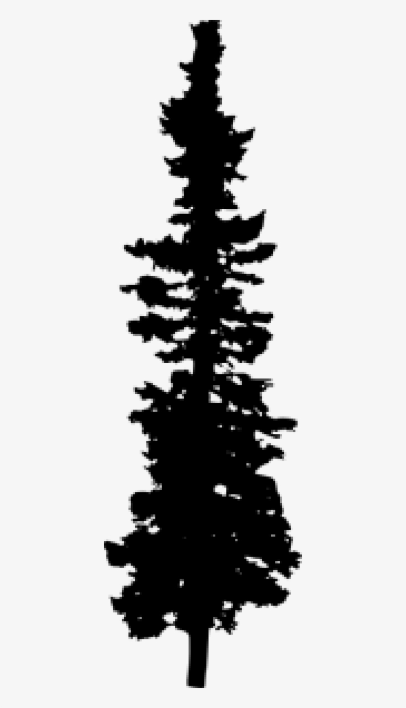Pine Tree Silhouette - Colorado Spruce, transparent png download