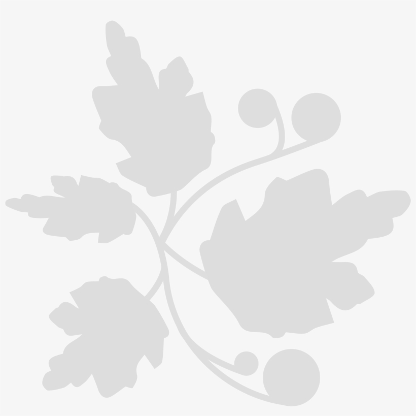 Our Life - Illustration, transparent png download