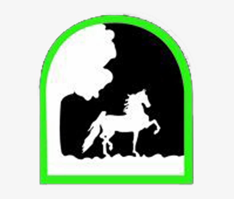 Horse Racing, transparent png download