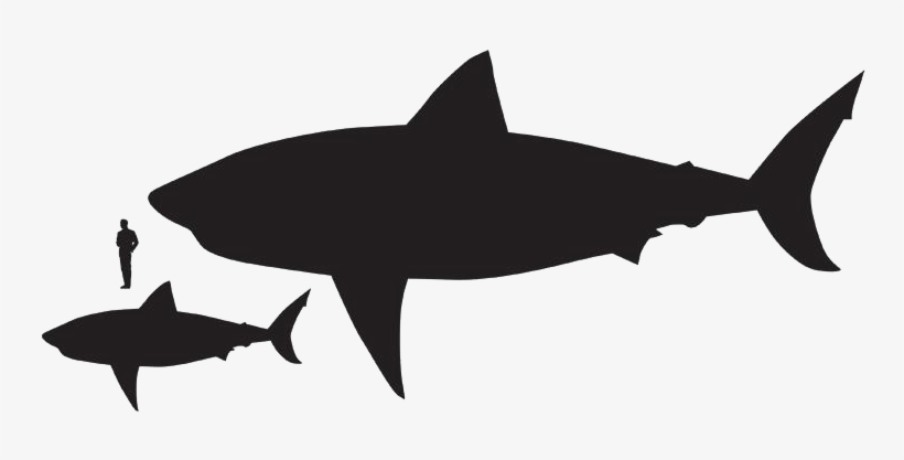 We Believe Hawaiian Shirts Are For Everyone - Great White Shark Stick Pivot, transparent png download