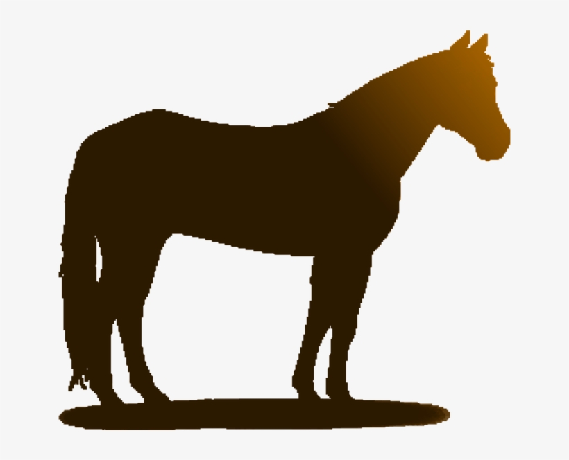 Horse-farm Owners Are Invited To Enroll In Conservation - Horse, transparent png download