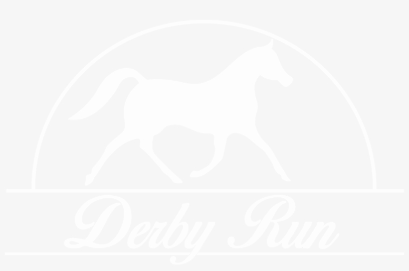 Apartment Search - Summer Rules Wall Art, transparent png download