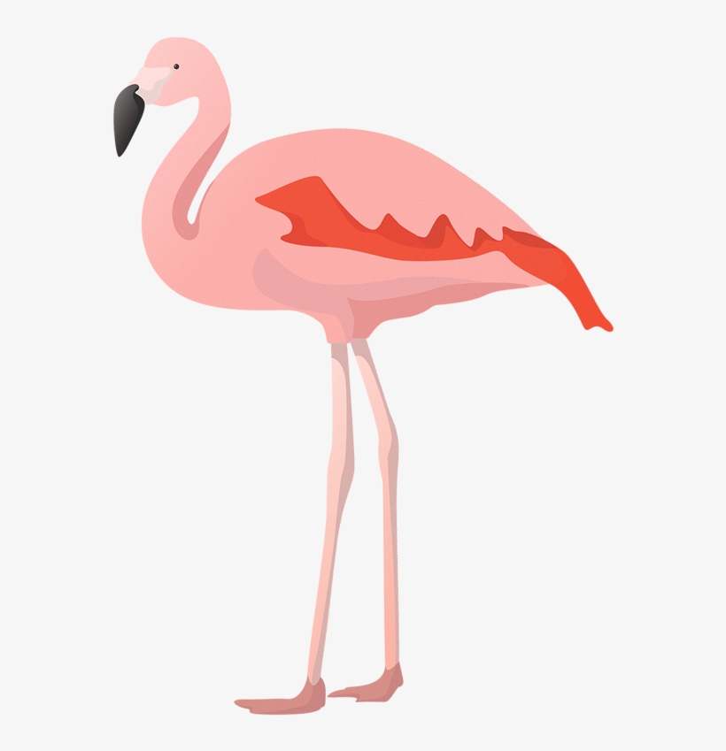 Flat Flamingo Vector - Vector Graphics, transparent png download