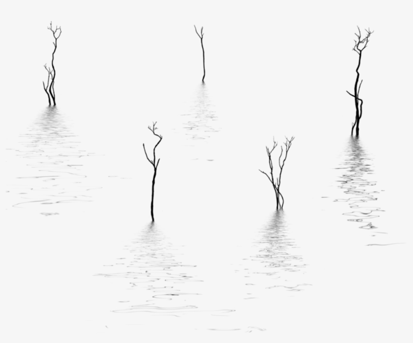 Clip Art Silhouettes With Hb By On - Skinny Dead Tree Silhouette, transparent png download