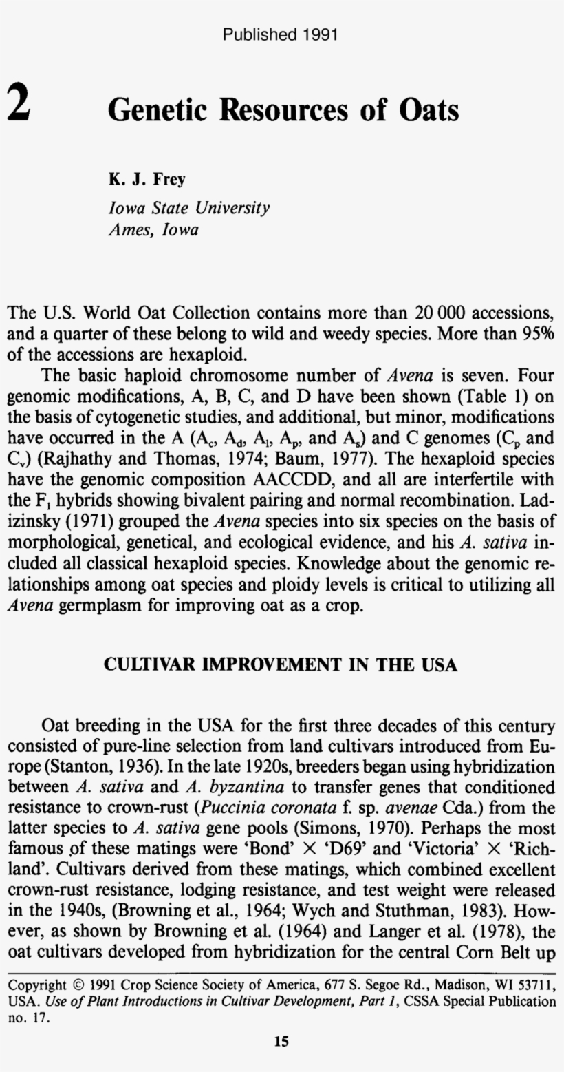 Abstract, transparent png download