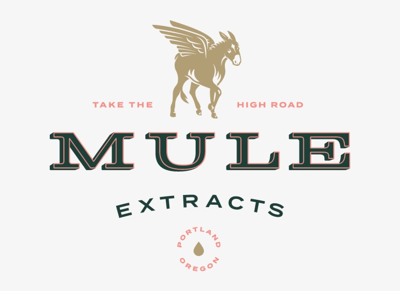 Mule Extracts Logo Design - Dog Catches Something, transparent png download