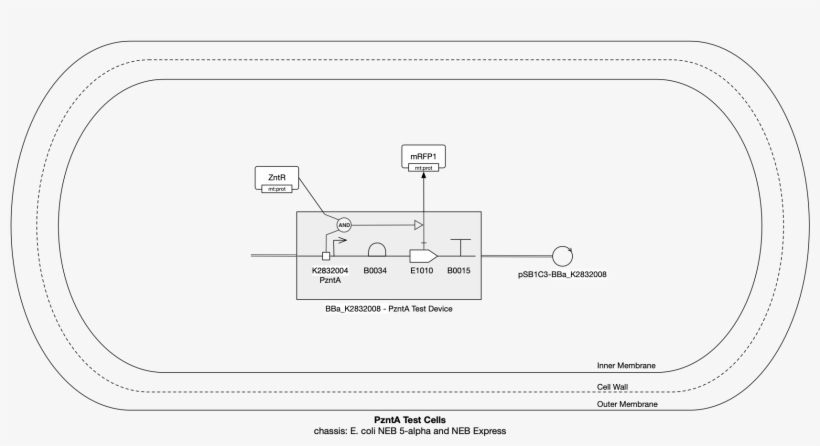 Rpoe System, transparent png download