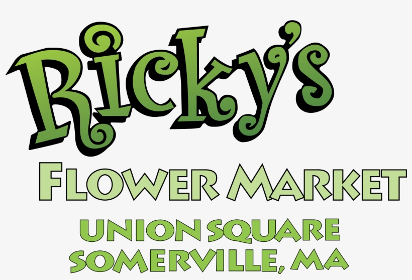 238 Washington Street Union Square Somerville - Graphic Design, transparent png download