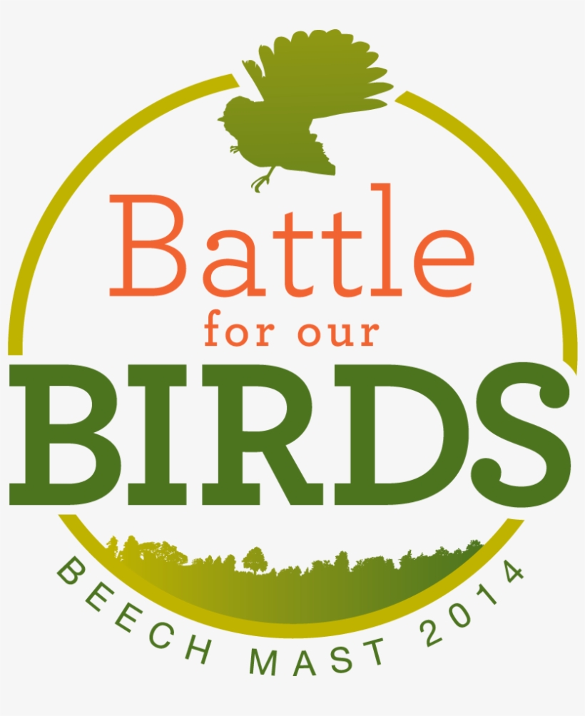 Battle For Our Birds, transparent png download