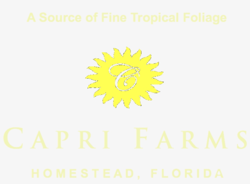 Cropped Final Yellow Sun Header For Website Fotoflexer - Novartis Oncology, transparent png download